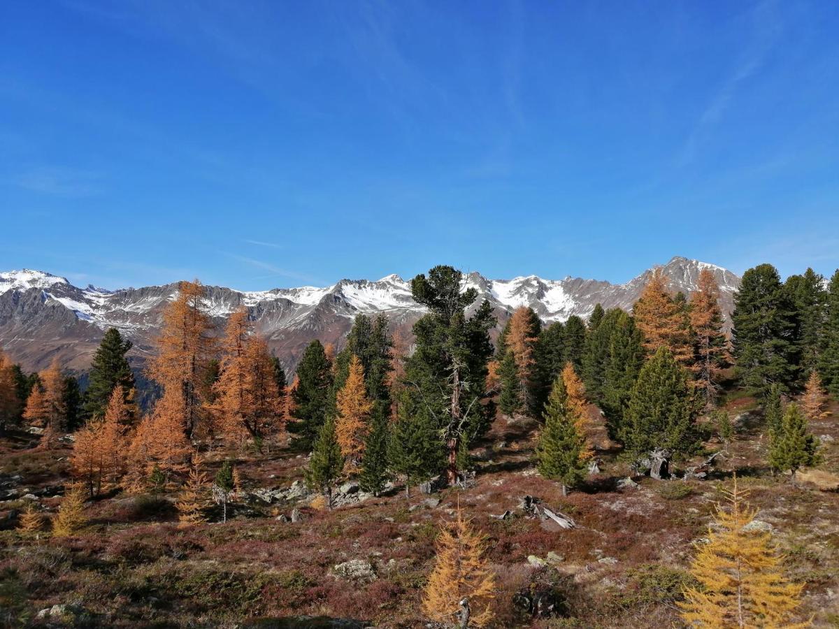 Mountain Alpine Daire Kappl  Dış mekan fotoğraf